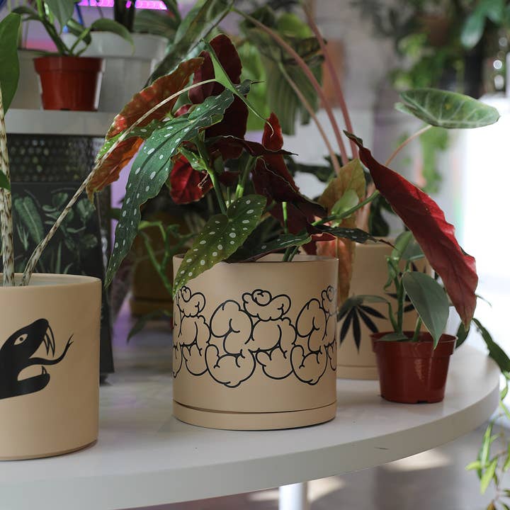 Soul of the Party - Wholesale Plant Pot - Om Aum Planter | Spiritual Gift 🕉
