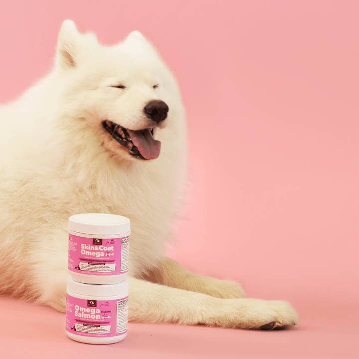 Petpal - Wholesale Pet supplement – Dog - Skin & Coat Omega Soft Chew Treats for dogs- Pet Supplement 3