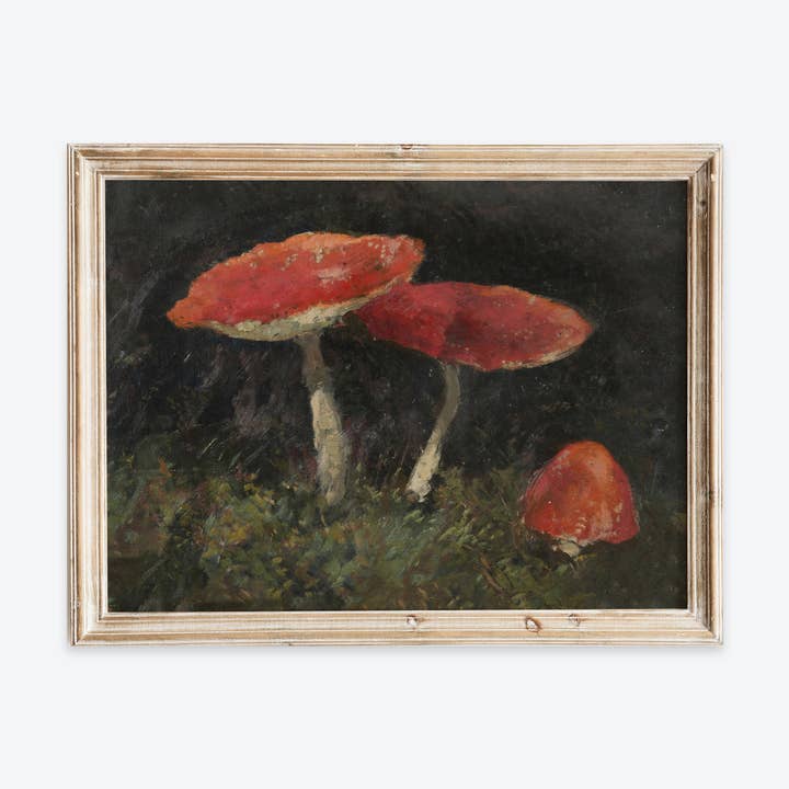Impression d'art nature morte vintage champignons rouges sombre et dramatique VP414 pour la vente par Sugar & Canvas