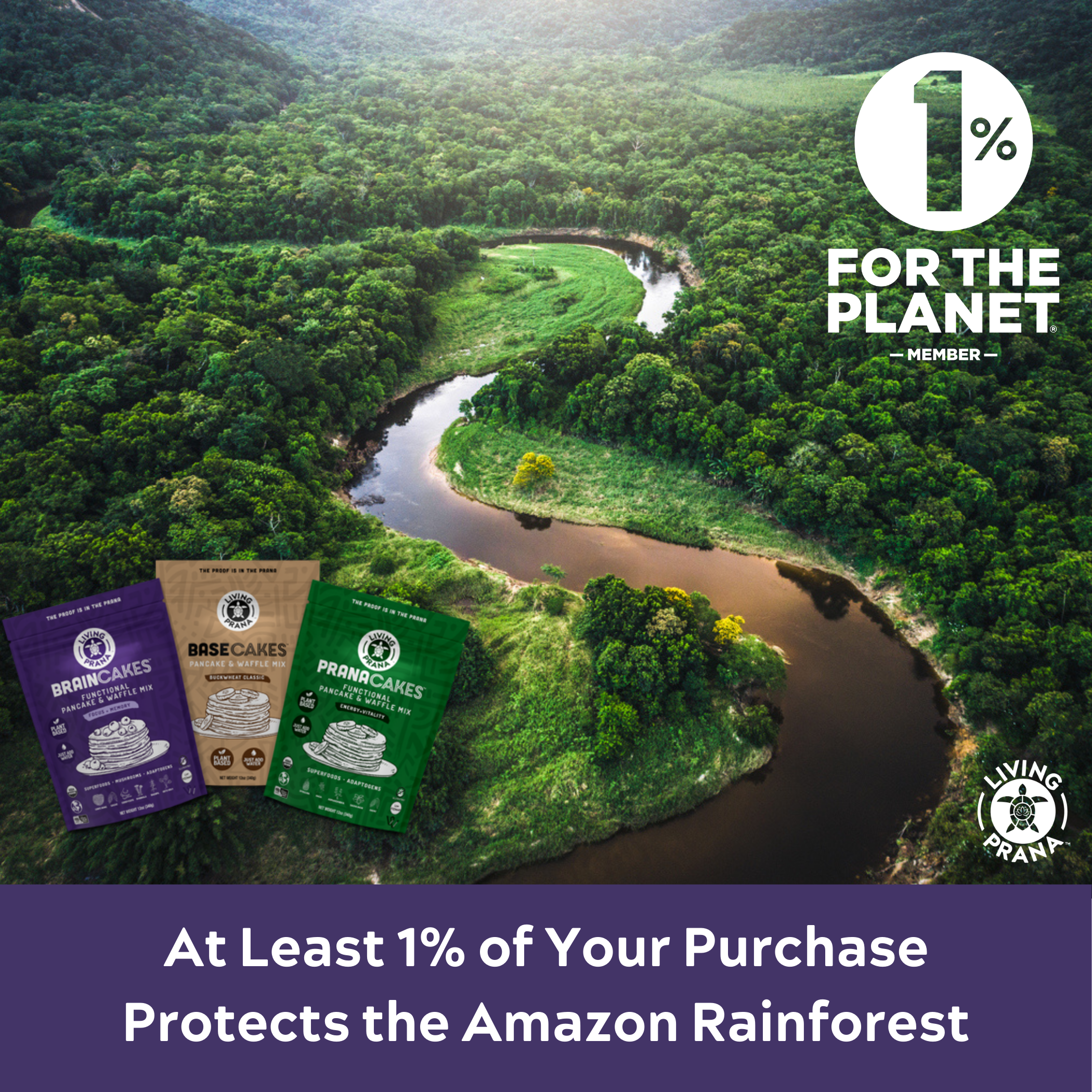 Living Prana – Engroshandel Pandekagemix – BrainCakes® funktionel pandekage- og vaffelmix - økologisk, glutenfri8