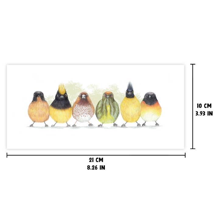 Beast of Paradise - Wholesale Everyday Greeting Card - Cute Birds Animal Greeting Card, Birthday Cards, Blank Card2