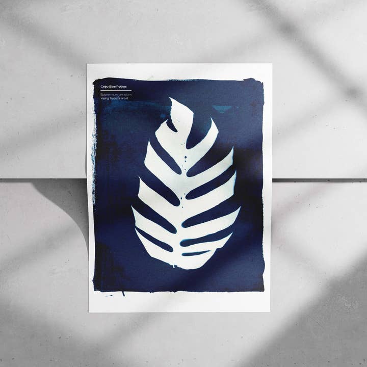 Cebu Blue Pothos Print for wholesale by Punch Kiss Press