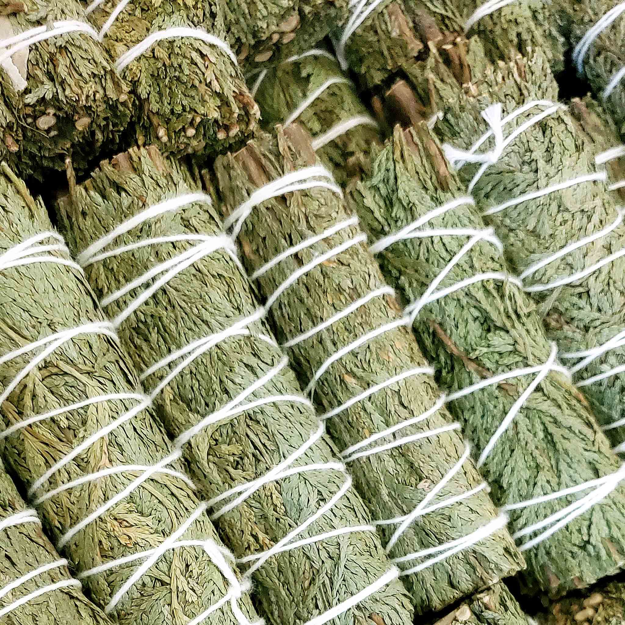 Monague Indigenous Crafts & Gifts - Wholesale Wierrookbundel - Bulk Smudges, 24 stuks4