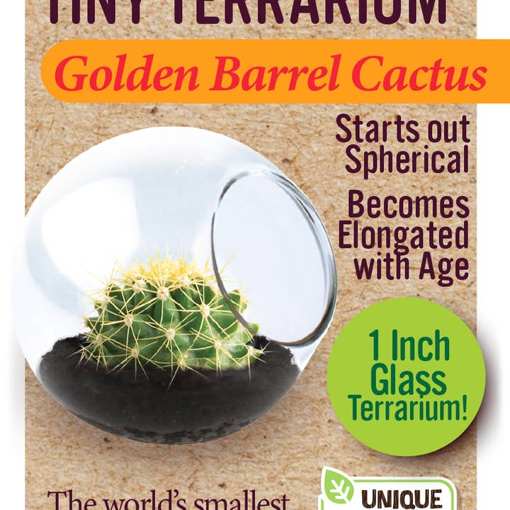 Silver Circle Products - Wholesale Retailer Display - Home & Living - Tiny Terrarium Cactus Counter Display with 6 Varieties