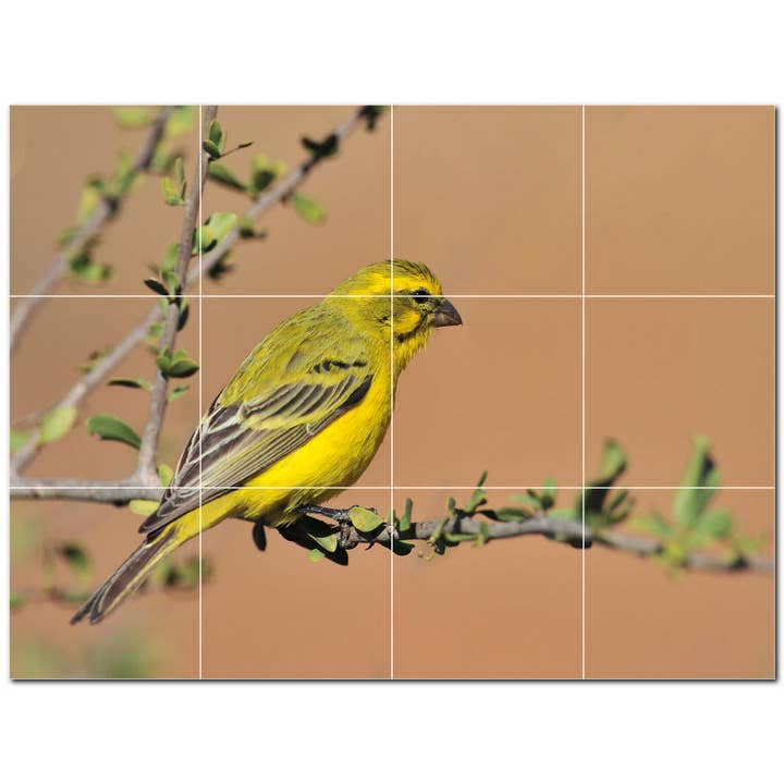 Carrelage en céramique Bird Ceramic Tile Mural PT500186 pour la vente par Picture-Tiles.com