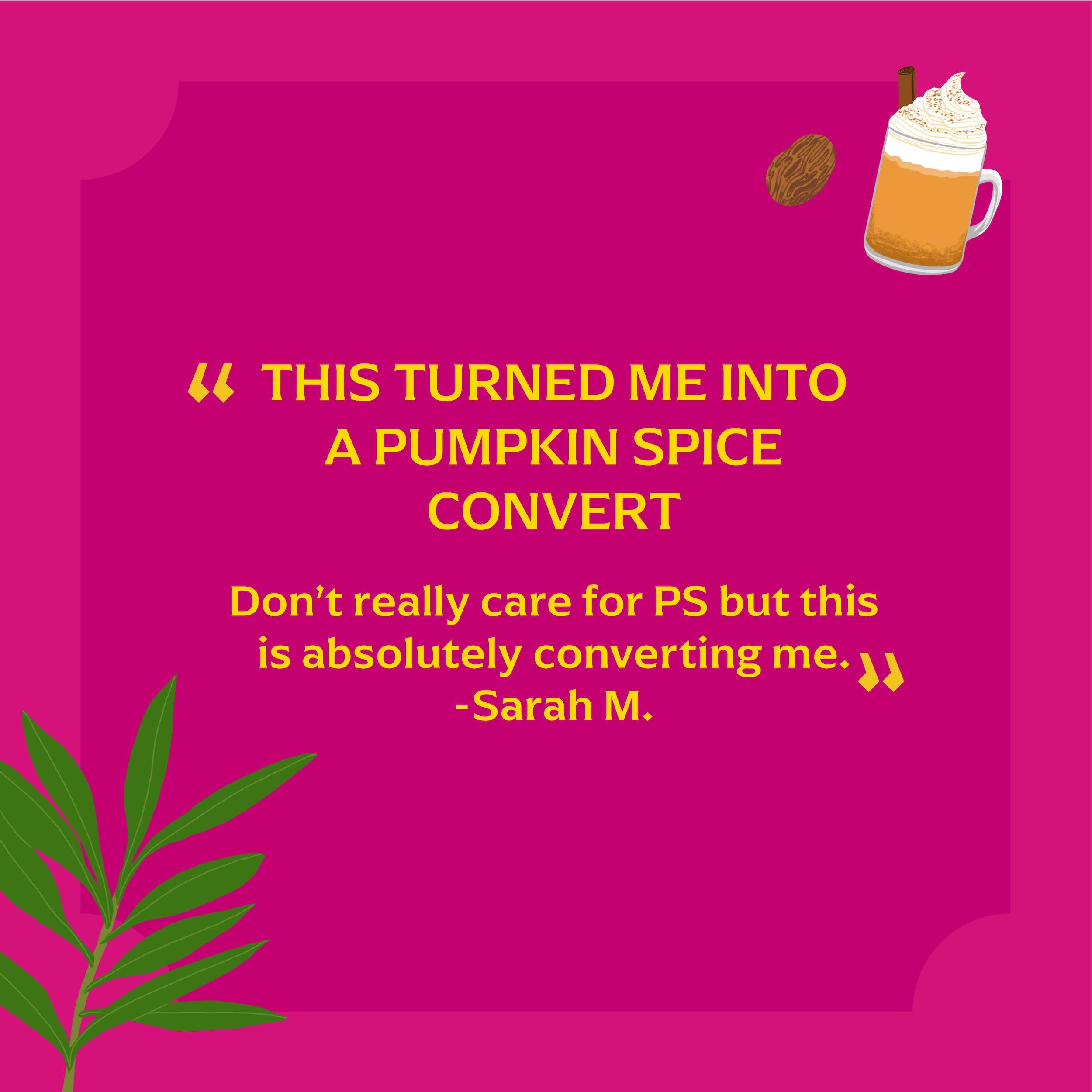 Diaspora Spice Co. - Wholesale Beverage Mix - Pumpkin Spice (Spice Blend) - For Lattes & Baking2