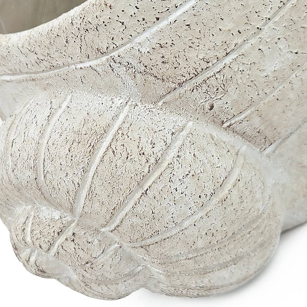 Beige Multi Decorative Sand & Cement Snail Planter with Texture for wholesale on Faire7