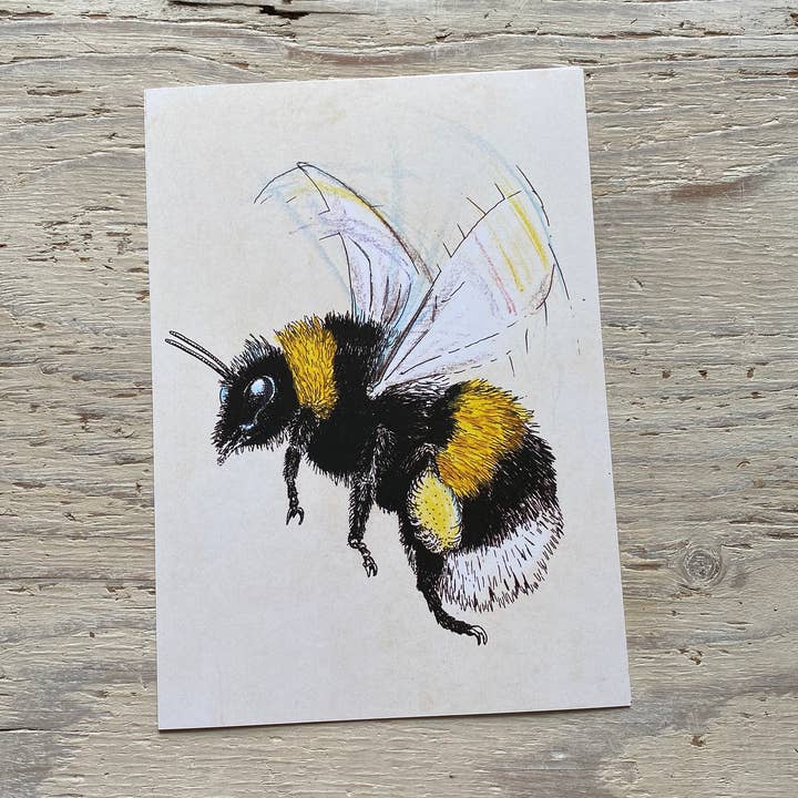 Bumblebee Print for wholesale by Lifeforms Art