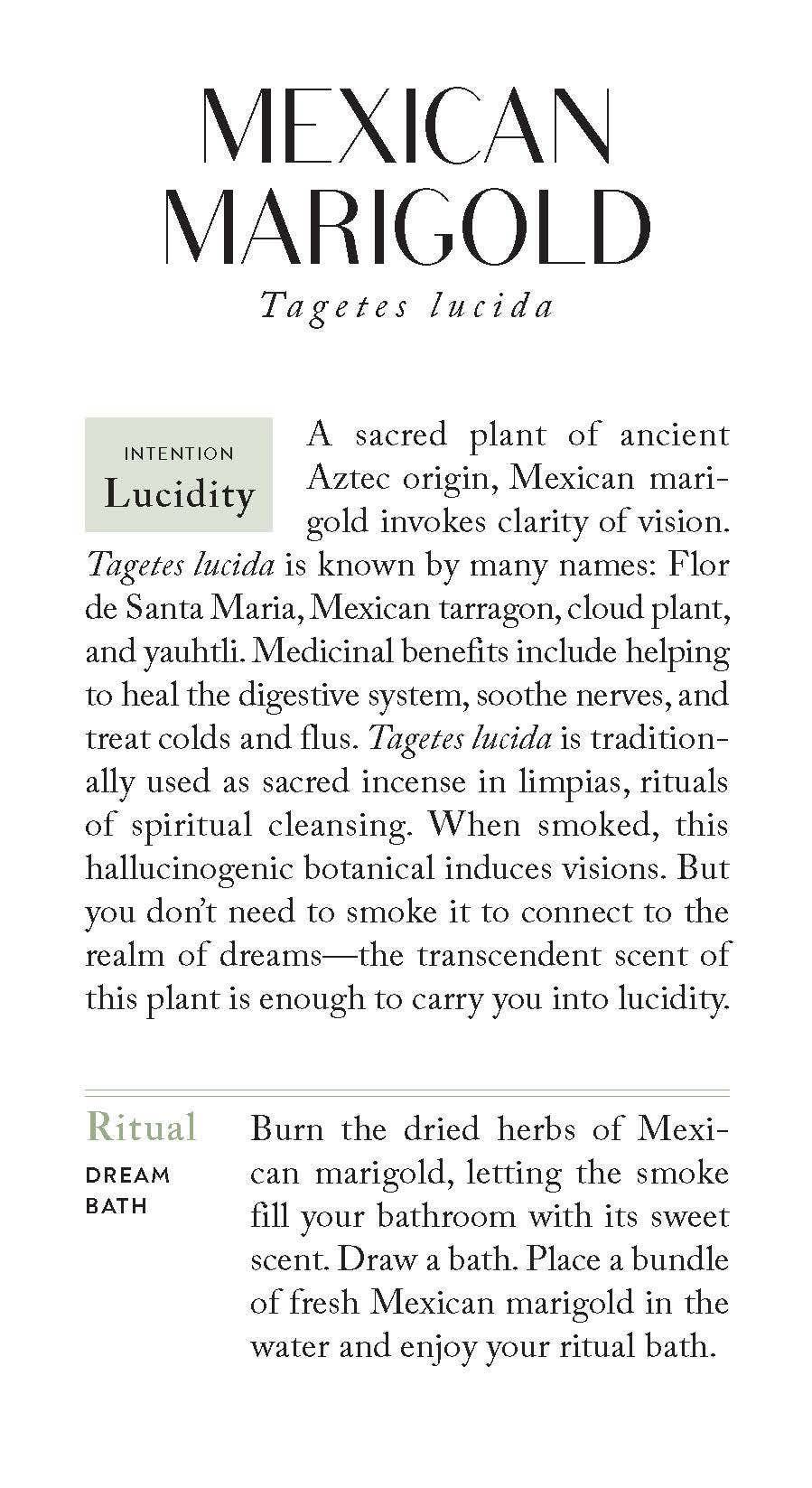 Chronicle Books - Wholesale Tarot Cards - Botanicals Deck7