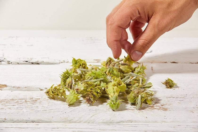 Aroma Olymp - Wholesale Health/Detox Tea - Greek organic mountain tea from Olympus3