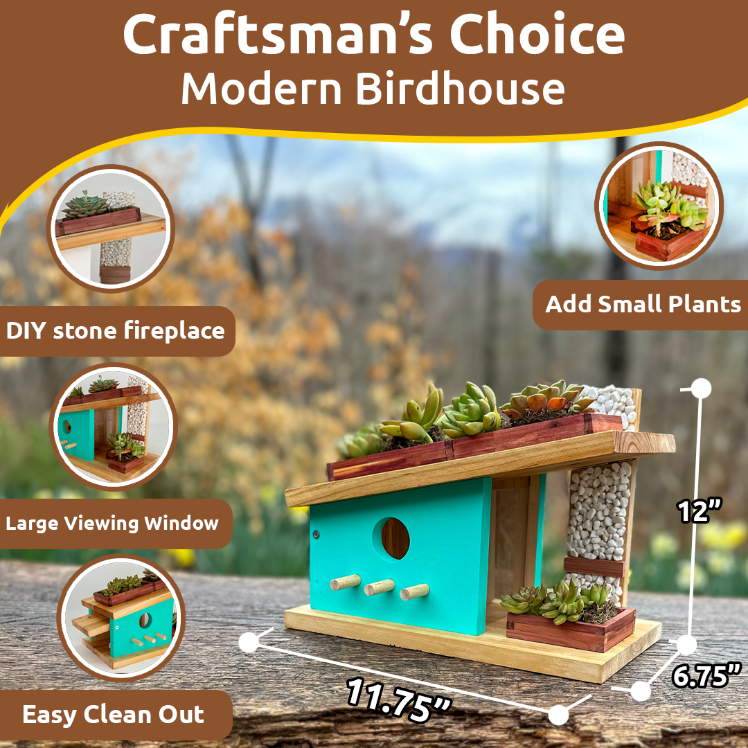 SparkJump - Wholesale DIY Craft Kit - Kids - Modern Birdhouse Woodworking Kit4
