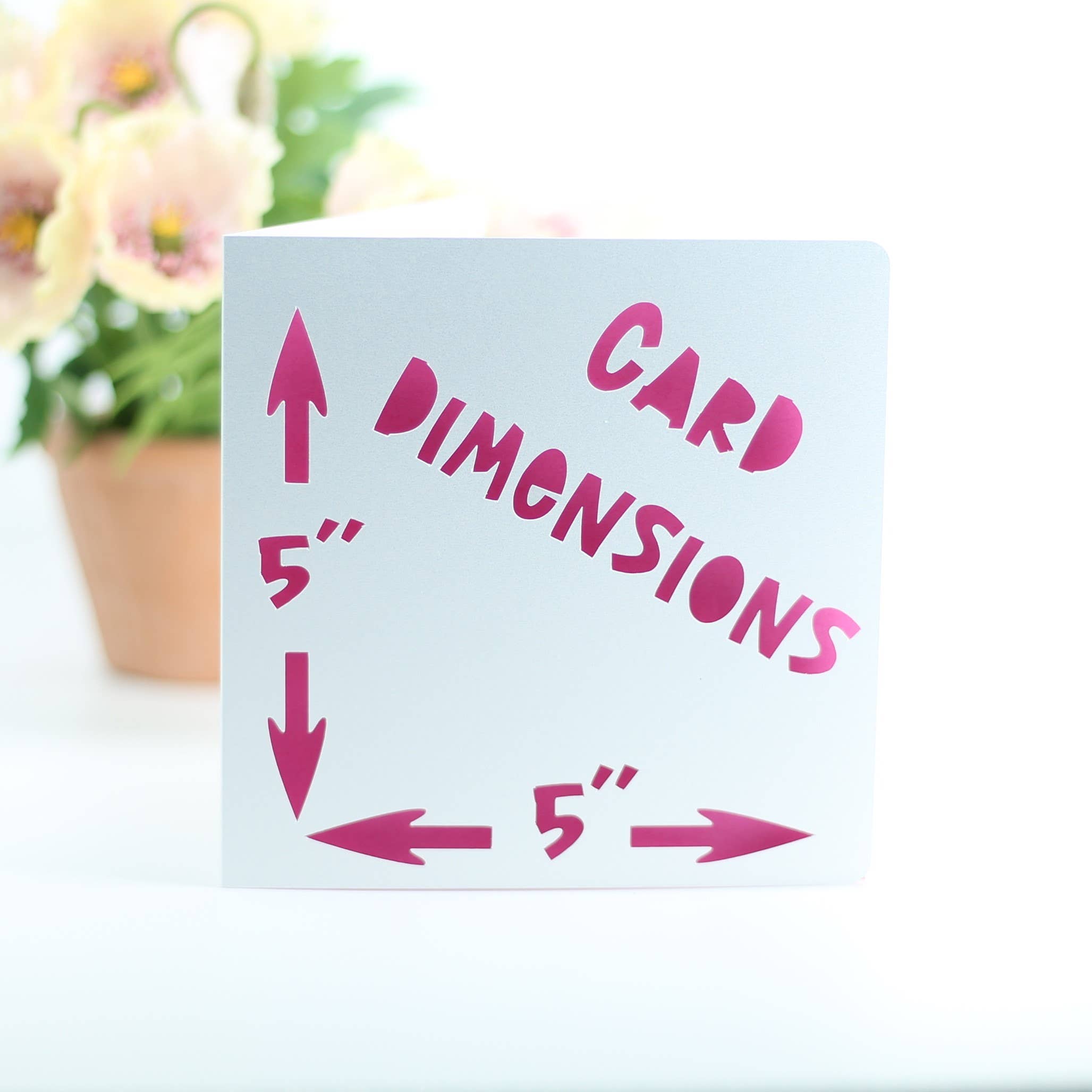 Paradise Papercraft - Vendita all'ingrosso Biglietti di auguri - Buon compleanno, sei vecchio come fottuto5