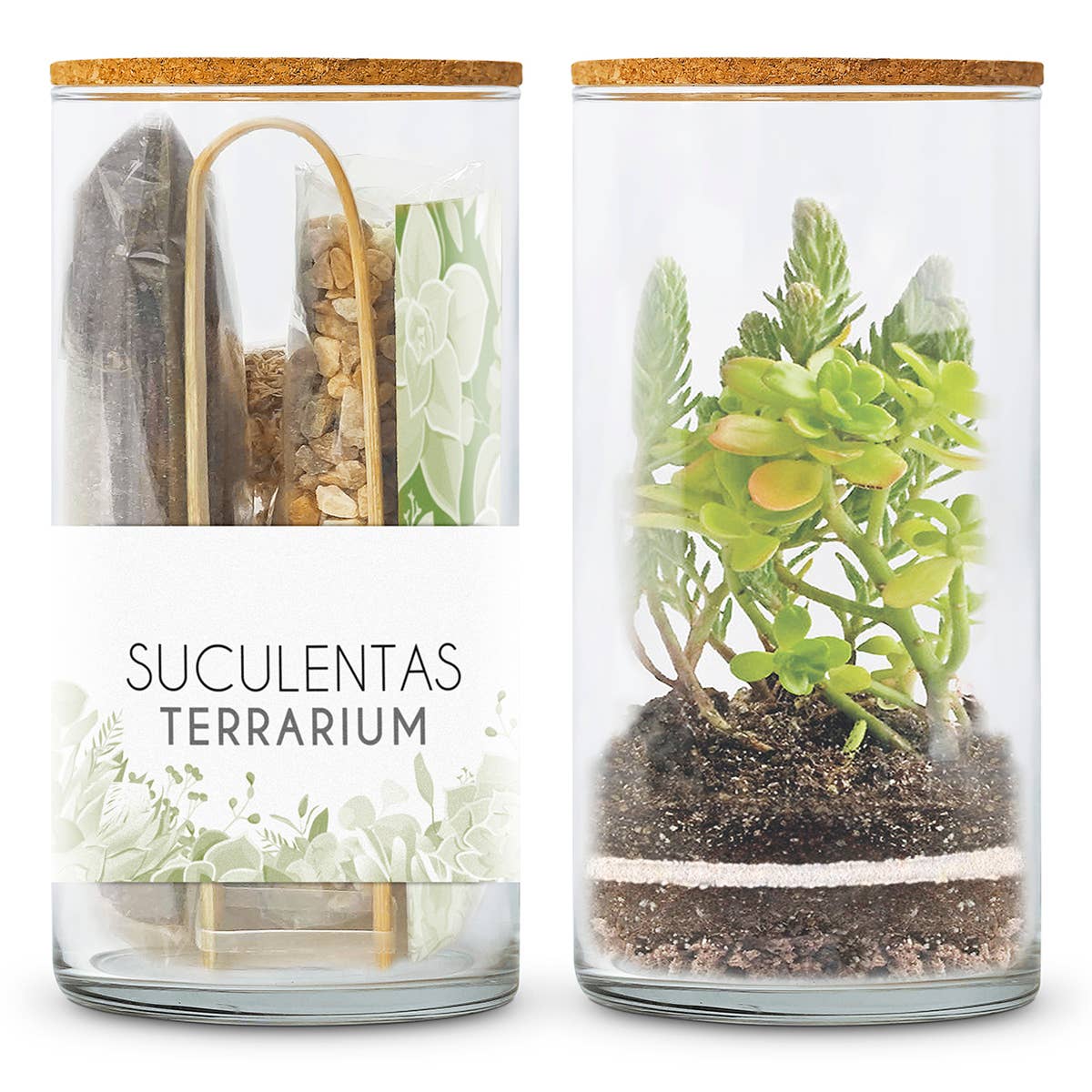 Garden Pocket - Wholesale DIY Craft Kit - TERRARIUM Succulents Kit2
