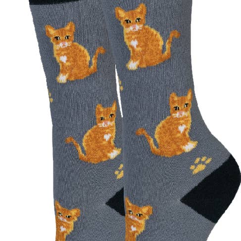 Calzini Gatto Tabby Arancione per la vendita all'ingrosso da parte di Sock Harbor / Bigfoot Sock Co.