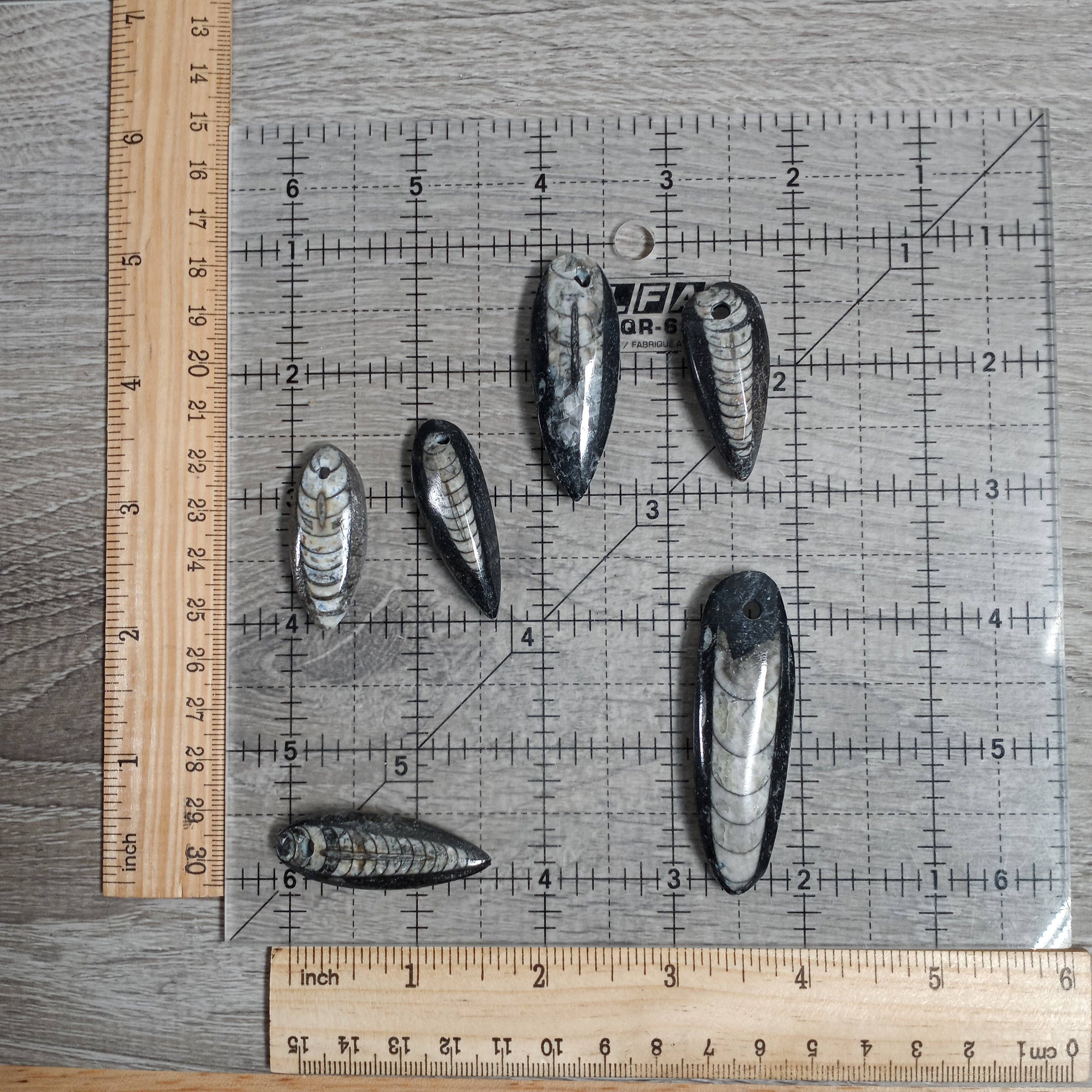 Keystone Crystals - Wholesale Individual Charm/Pendant - Orthoceras Fossil Focal Bead4