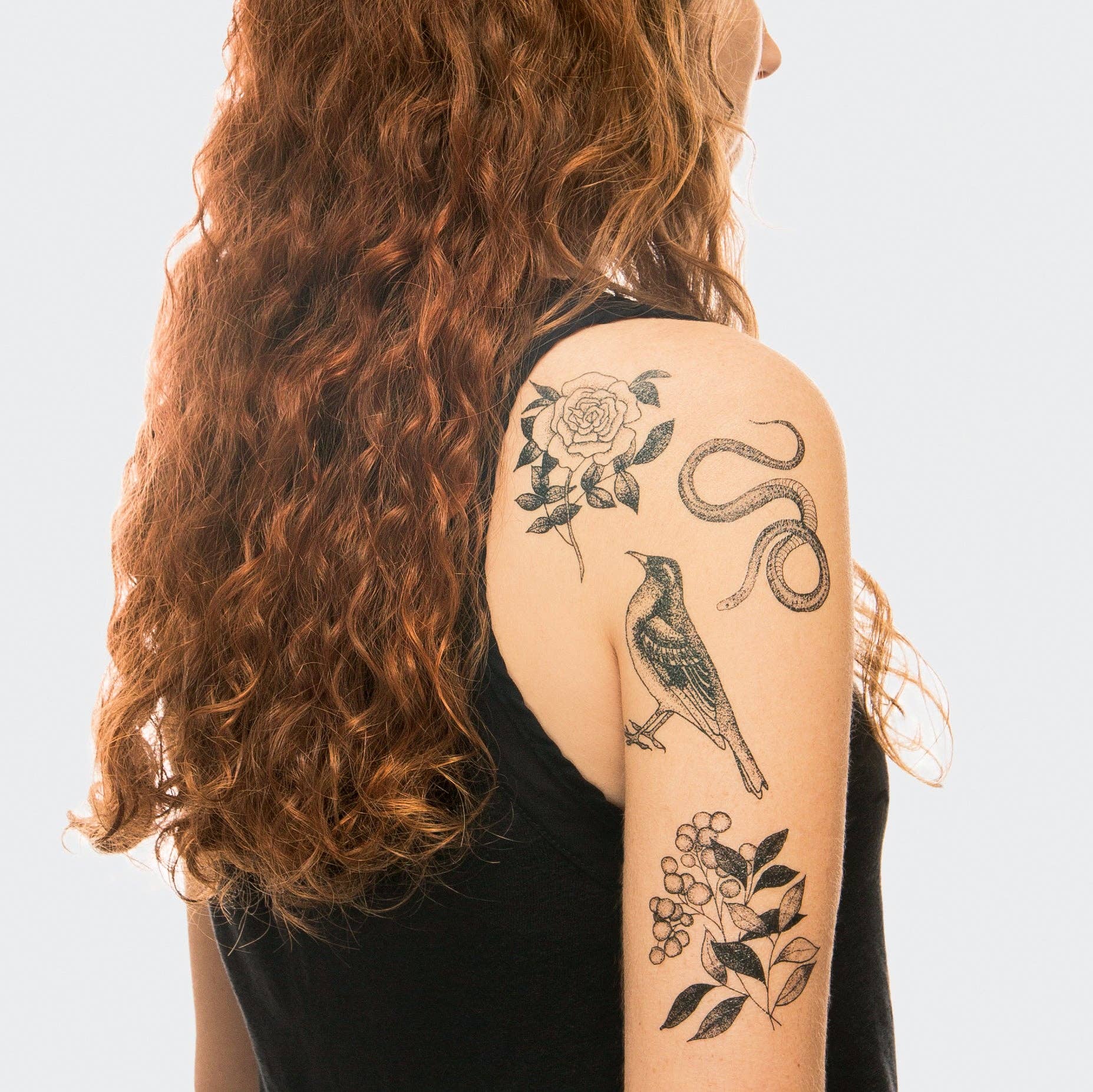 Tattly - Vente Tatouages temporaires - Set de tatouage Flore et Faune3