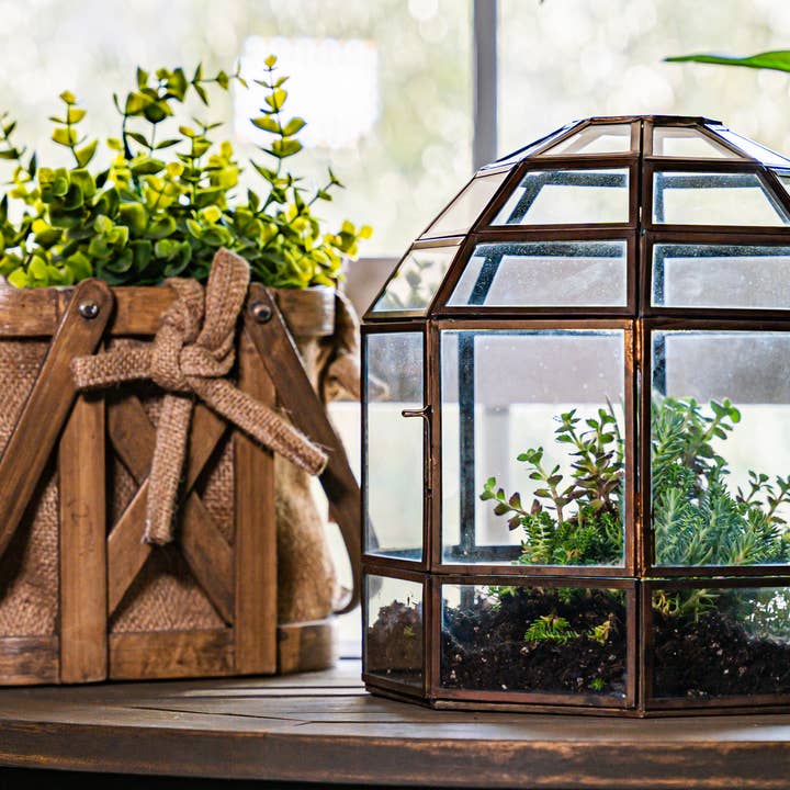 Stor glas-terrarium bronzefuglebur håndlavet plantepynt for engroshandel hos Urban Born