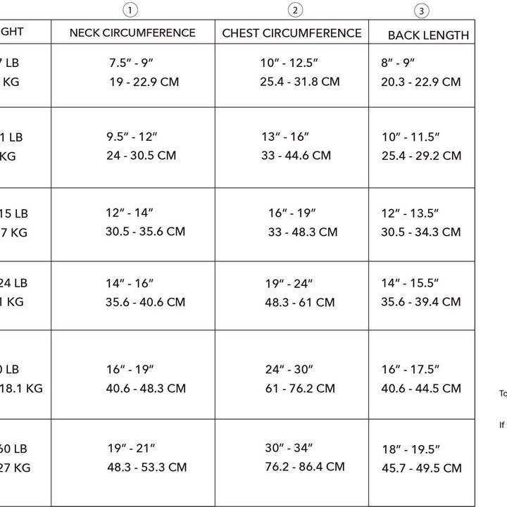Bespoke Paws - Wholesale Pet Hoodie - Dog - 'Dale' Rainbow Tie-Dye Hooded Onesie4