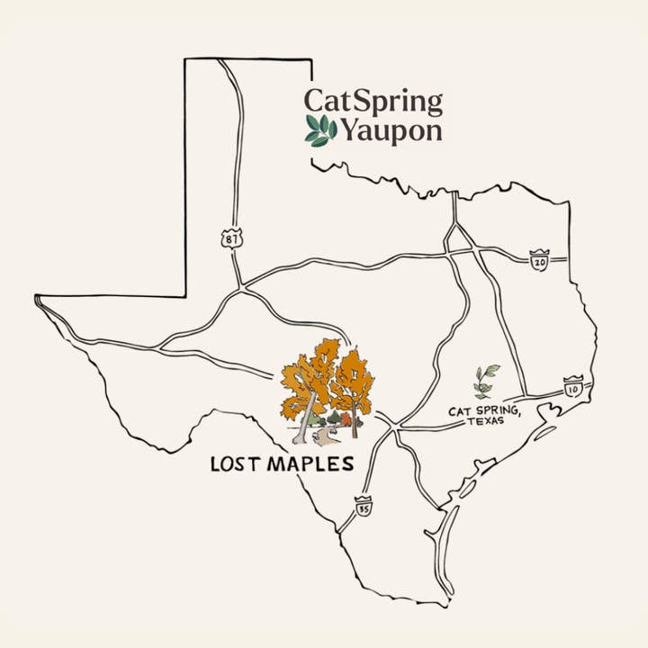 CatSpring Yaupon - Wholesale Tea Bags - Lost Maples Medium Roast Yaupon – Loose Leaf & Teabag5