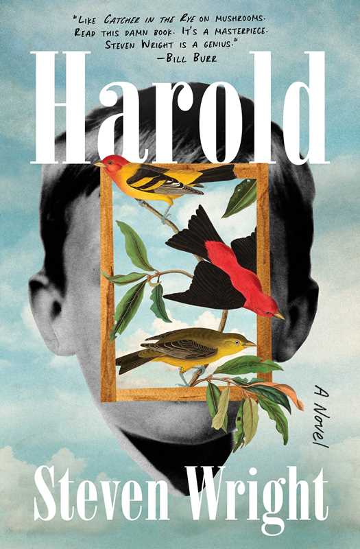 Simon & Schuster - Wholesale Contemporary & Literary Fiction - Harold by Steven Wright0