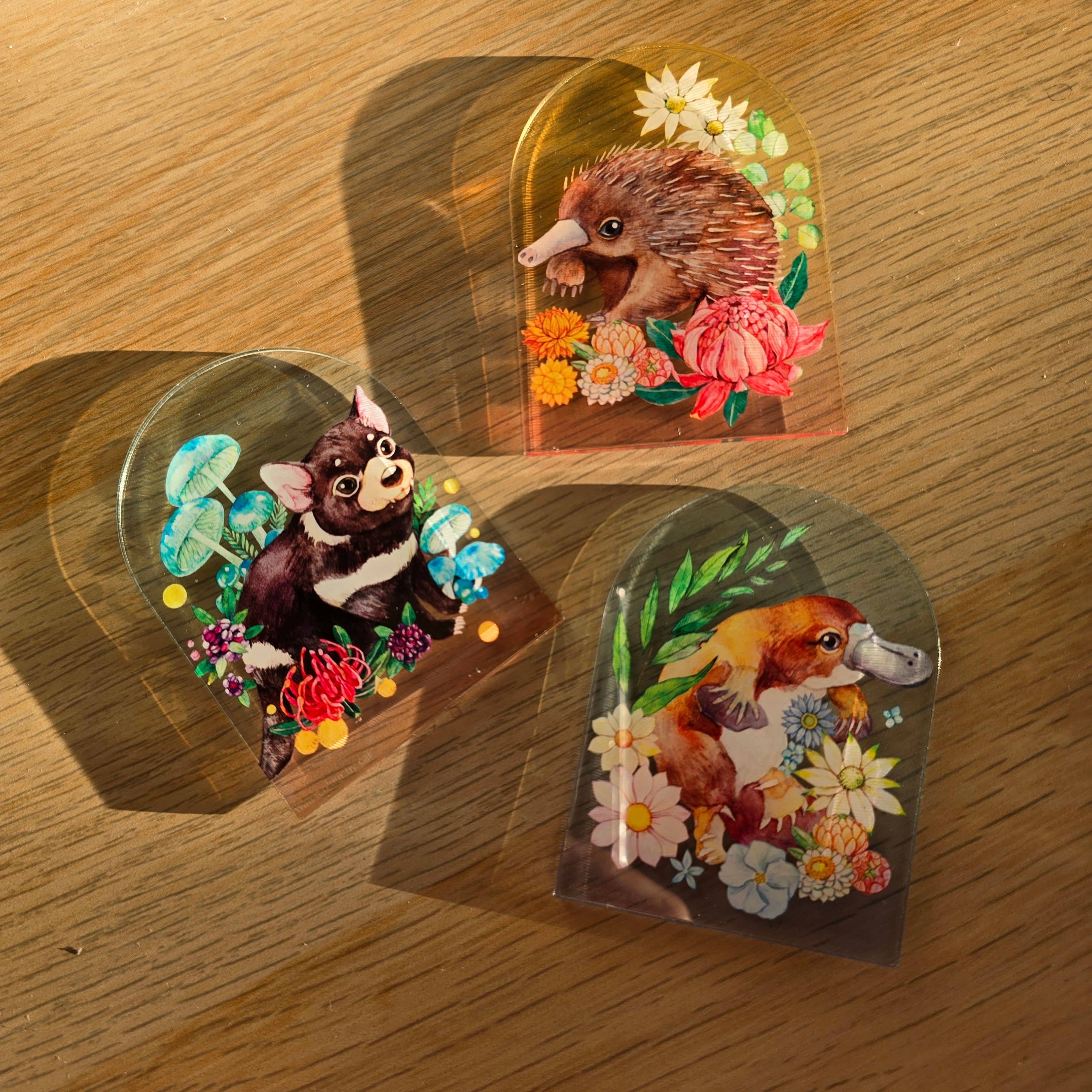 Watercolour By Cat - Wholesale Magnet - Australian Animals Echidna Magnet 3