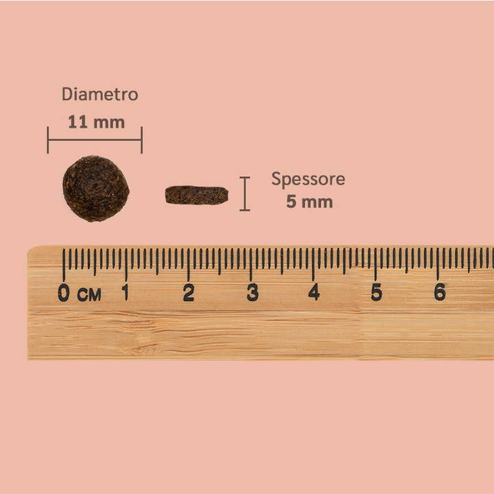 Pettech S.r.l. - Wholesale Pet Treats - Dog - Kibble with Fresh Pork, Potatoes, and Peas for Puppy4