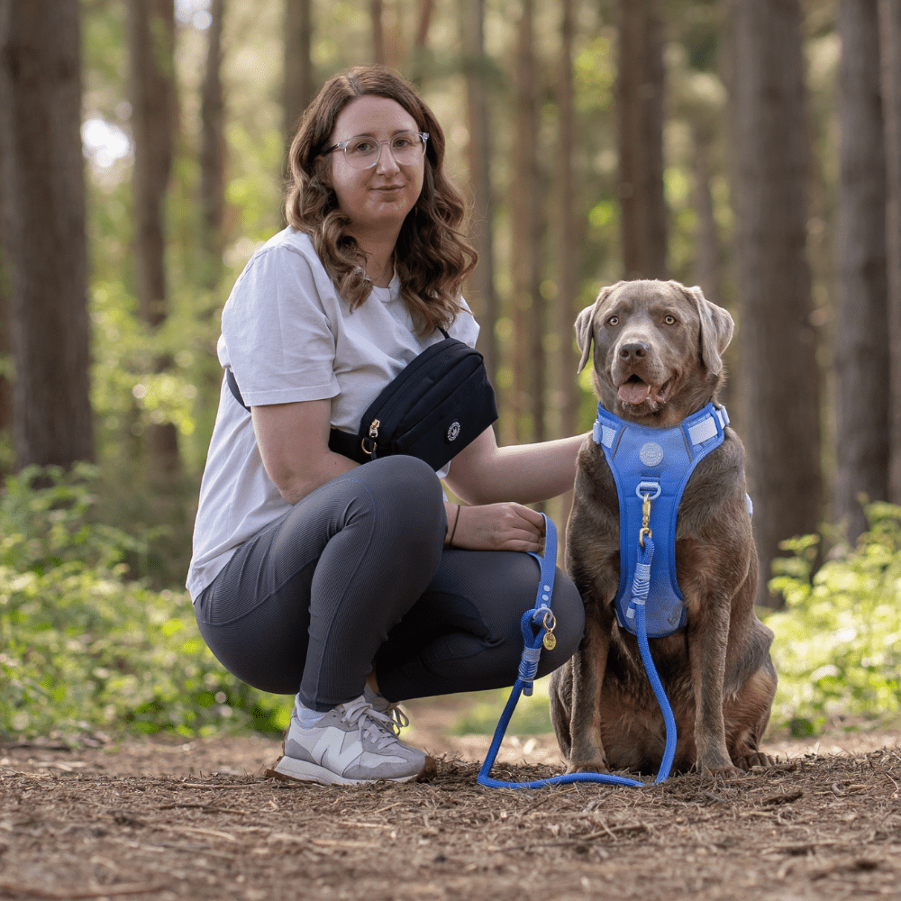 Bailey and Coco – wholesale Pet treat bag – Dog – Magnetic Snap Dog Walking Bum Bag - Black6