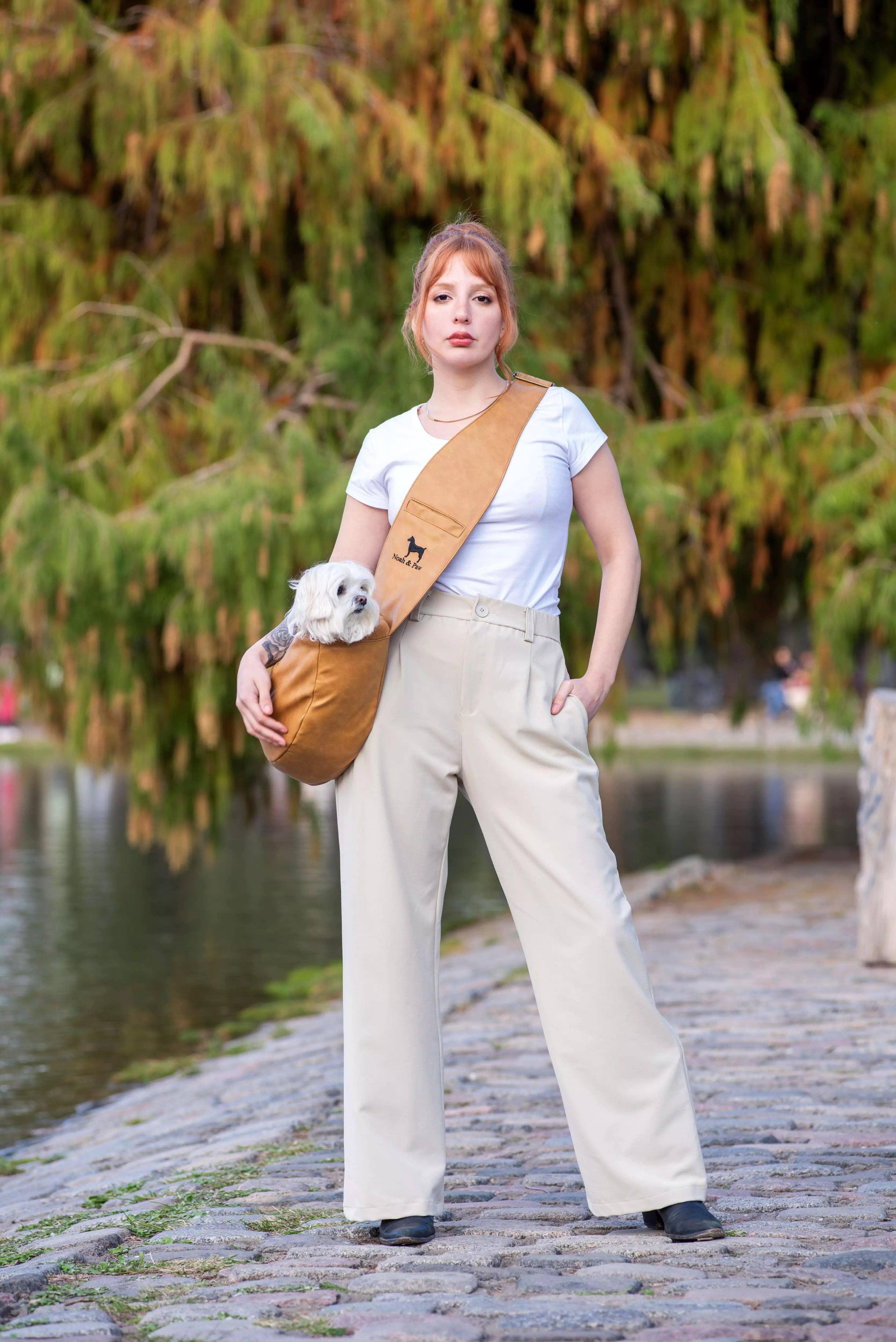 NOAH AND PAW LLC - Vente Caisse de transport – chat et chien - Porte-animal en bandoulière en cuir vegan avec triple sécurité25