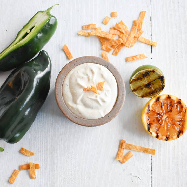 Country Home Creations - Wholesale Dip - Citrus Poblano Dip Mix2
