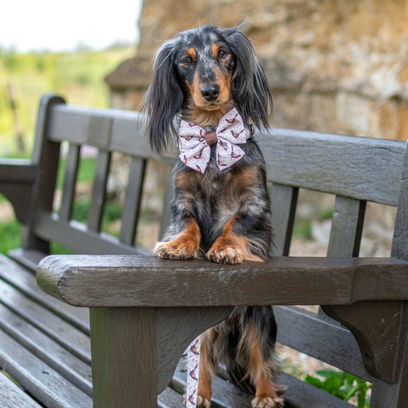 The aDoraBle Pooch Company – wholesale Pet bow tie – Dog – Dog Sailor Bow Tie - Farmland Pheasant7