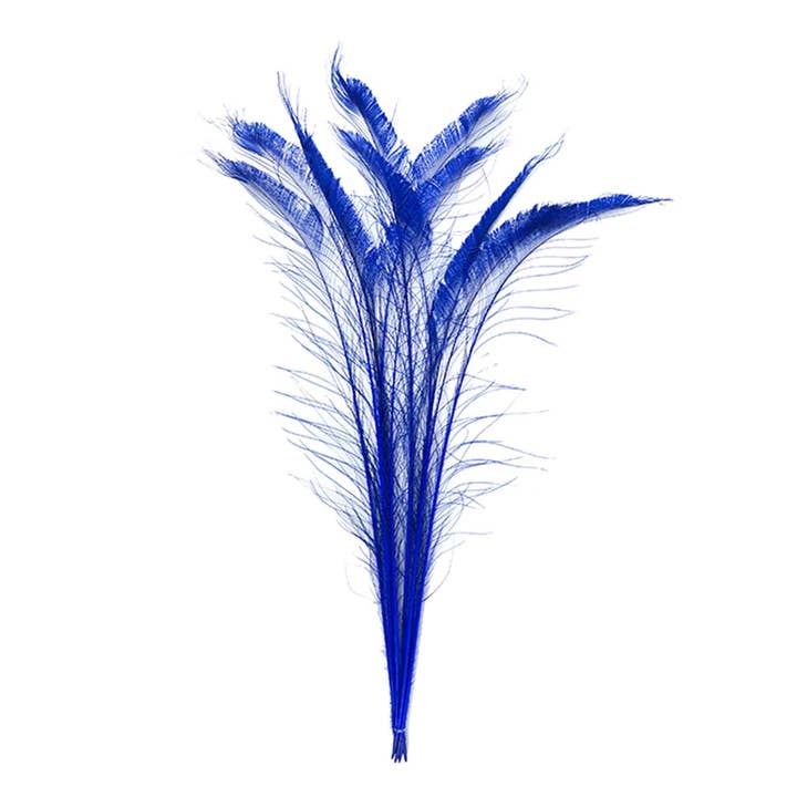Peacock Swords Bleached/Dyed - Royal for wholesale by Zucker Feather Products