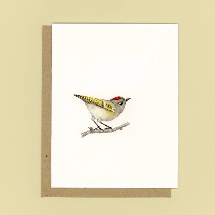Cartes en boîte de 8 - roitelet couronné de rubis pour la vente par Flower Bird Art Studio