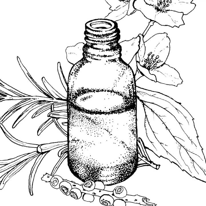 Deodorant met probiotica en magnesium met kruidenmunt voor wholesale door Emily's Homestead