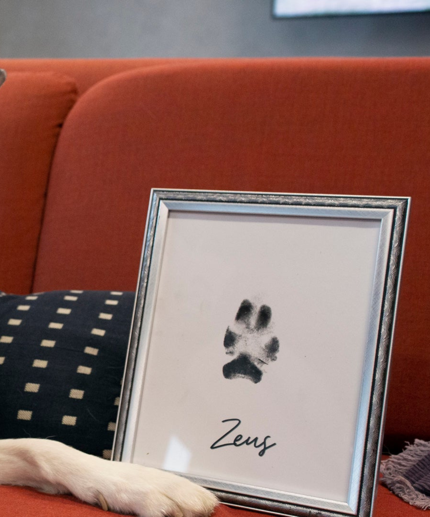 Paw Prints – wholesale DIY craft kit – Pet Paw Print Kits: Cats, Dogs, Puppy, Guinea Pig, Rabbit25