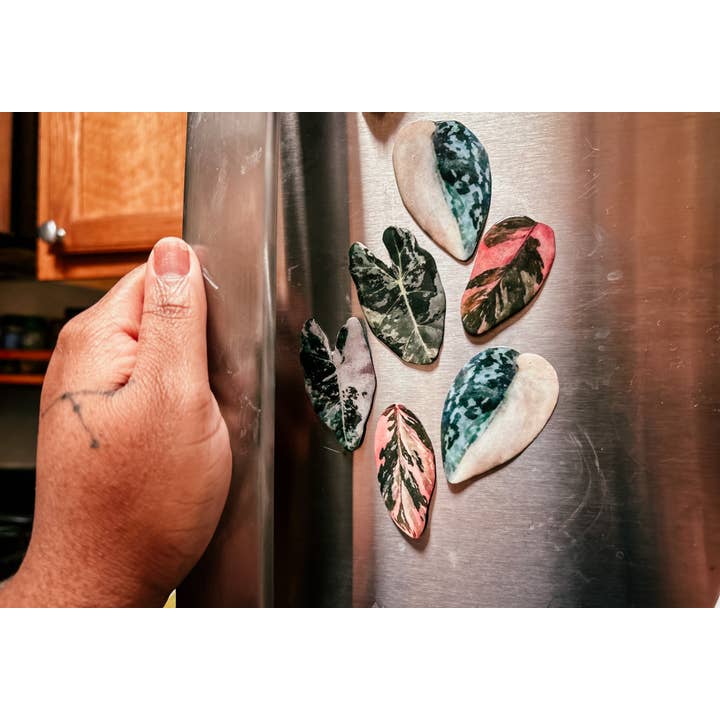 hethr - Wholesale Dangle Earrings - Syngonium Albo Leaf Earring, Magnet, Pin, Decor, Jewelry4