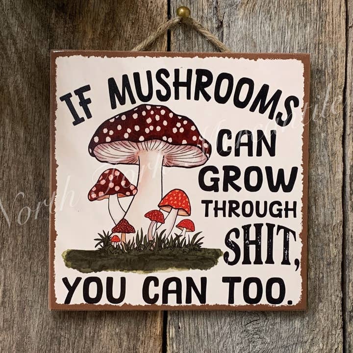 Si les champignons peuvent pousser à travers la merde, inspirant, chercheur de champignons pour la vente par North Fork Mercantile