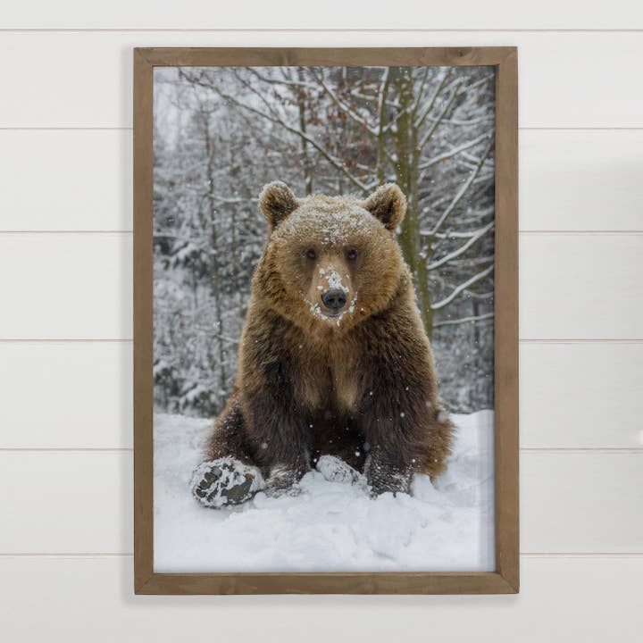Bear in Snow - Framed Grizzly Photograph - Cabin Wall Decor and other Purchase Wholesale bear snores on. Free Returns & Net 60 Terms on Faire trending on Faire.
