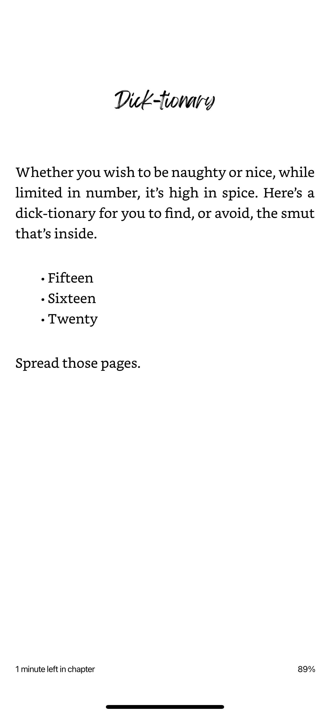 Scribbles Wholesale - Wholesale Book - Adult - Merry Mischief List (Signed Book)3