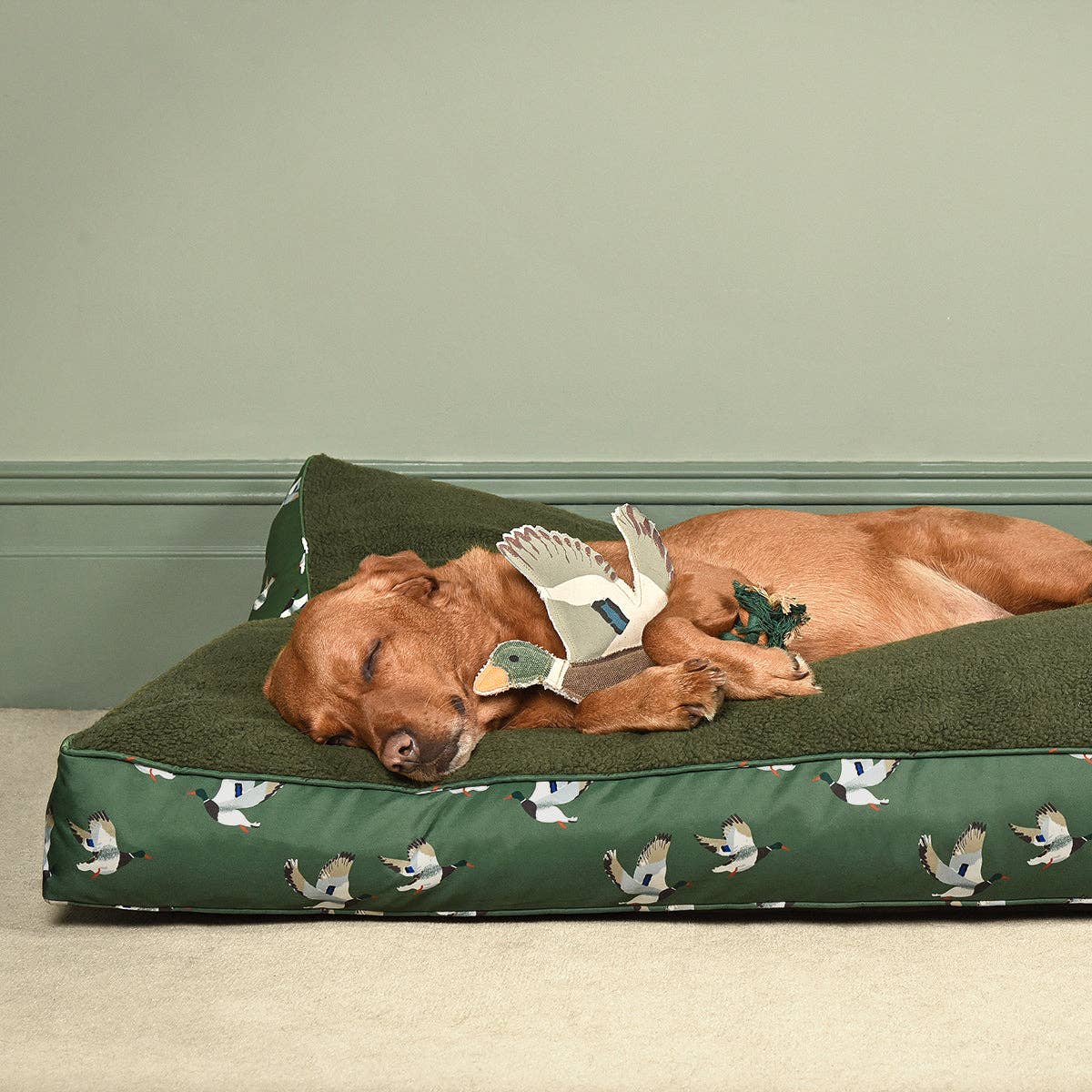 Sophie Allport - Vente Jouet en corde – chien - Jouet pour chien en forme de canard1