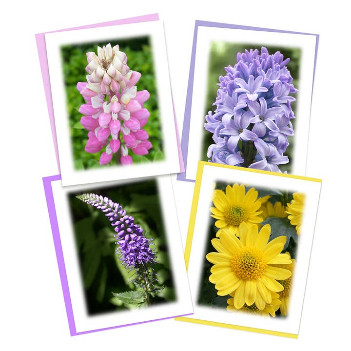 Colorful Garden Notecard Bundle, Stationery Box Set for wholesale by LindaGeez