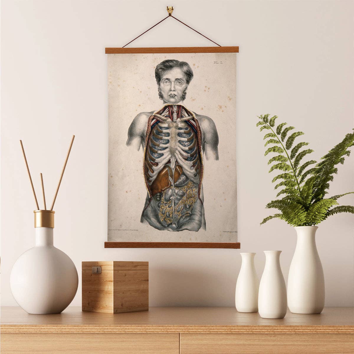 Vintage Banners - Vente Affiche d'art - Humain disséqué par William Fairland - Toile d'art mural2