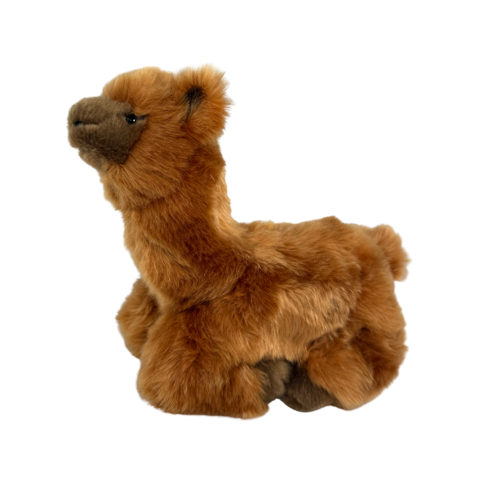 Bocchetta Plush Toys - Wholesale Stuffed/plush toy – Kids & baby - Alcapone - Alpaca - 25cm lying, brown3
