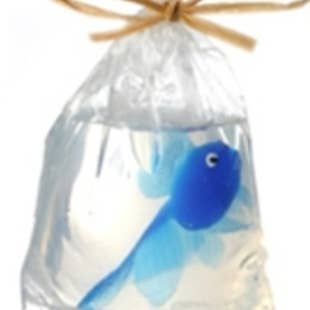 Just Bubbly - Wholesale Bar Soap - My Pet Fish®