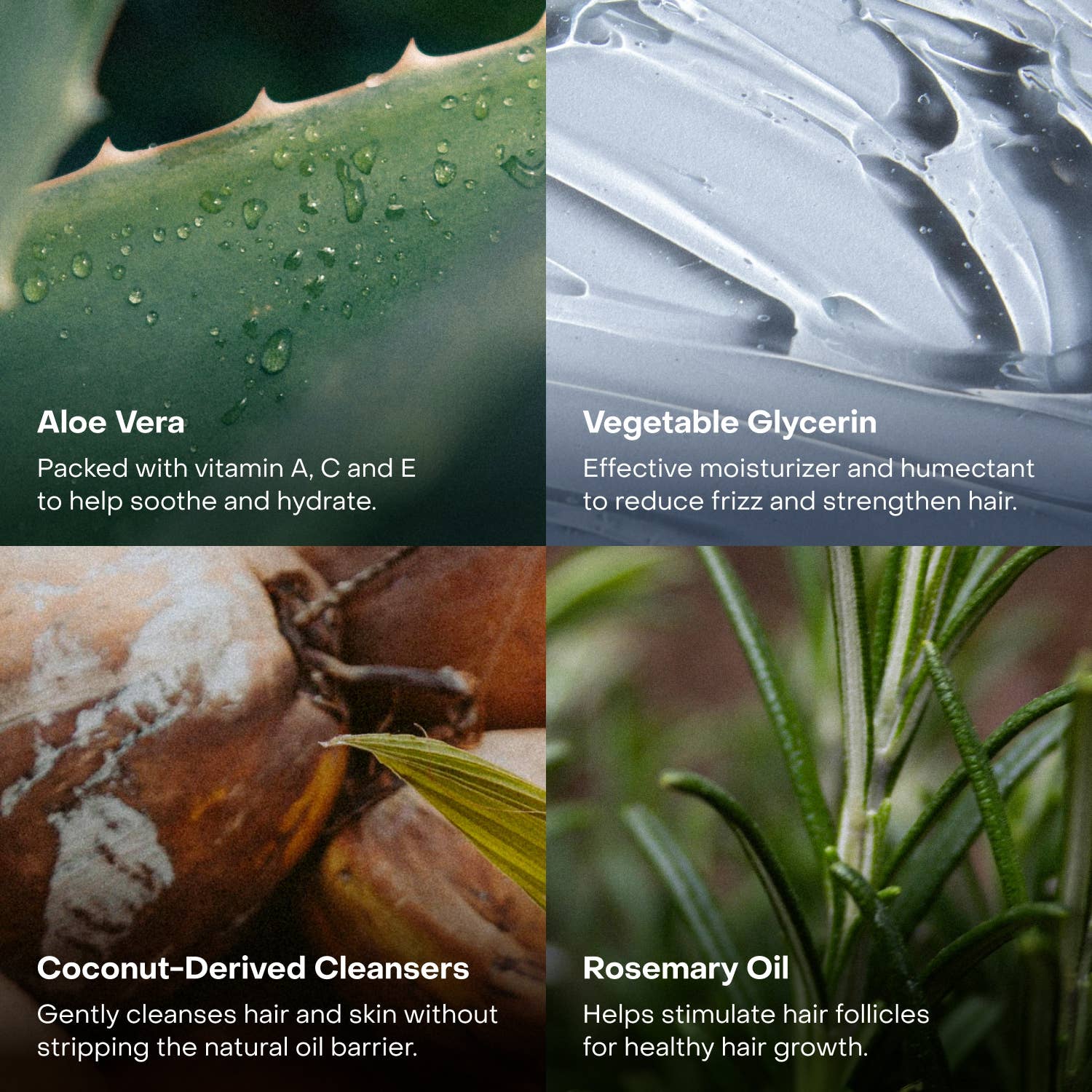 Everist - Wholesale Hair Shampoo - The Shampoo Concentrate Travel Mini3