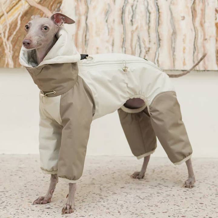 Light Warm Cotton-Padded Stylish Jacket with All-legs covered for Italian Greyhound Bedlingtons & Whippets for wholesale by EggeStore