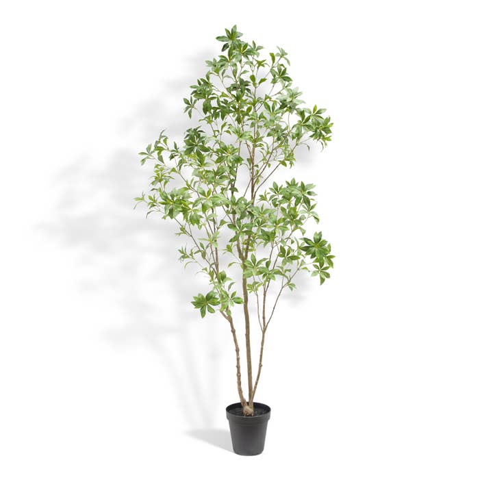 CG Hunter - Wholesale Artificial Plant - 7' Artificial Laurel Tree