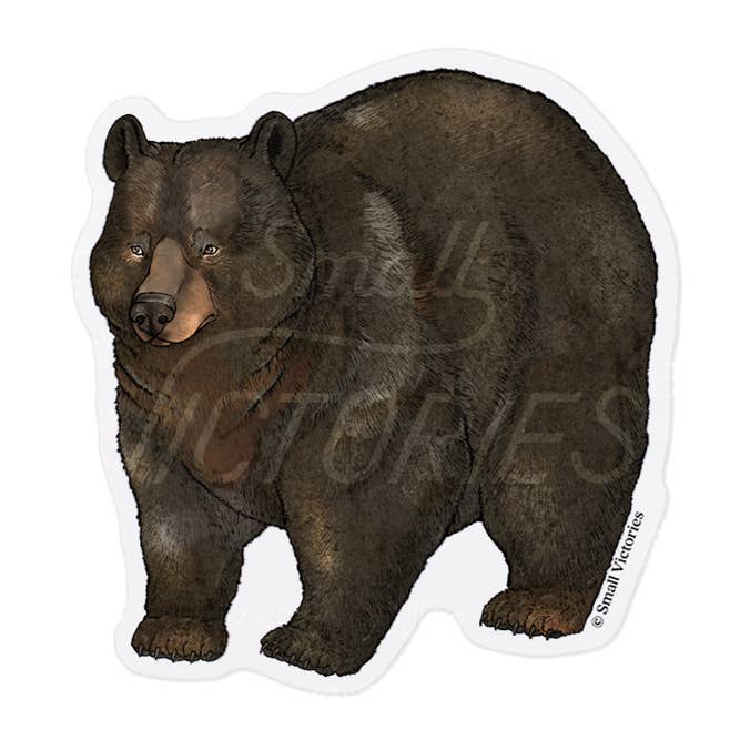 Eco-Sticker: Black Bear for wholesale by Small Victories
