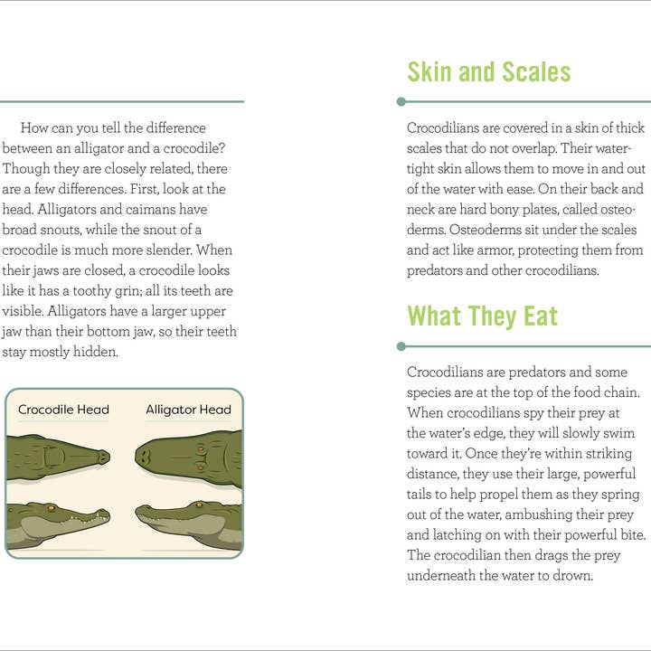 Sourcebooks - Wholesale Science & Math - Reptiles for Kids1