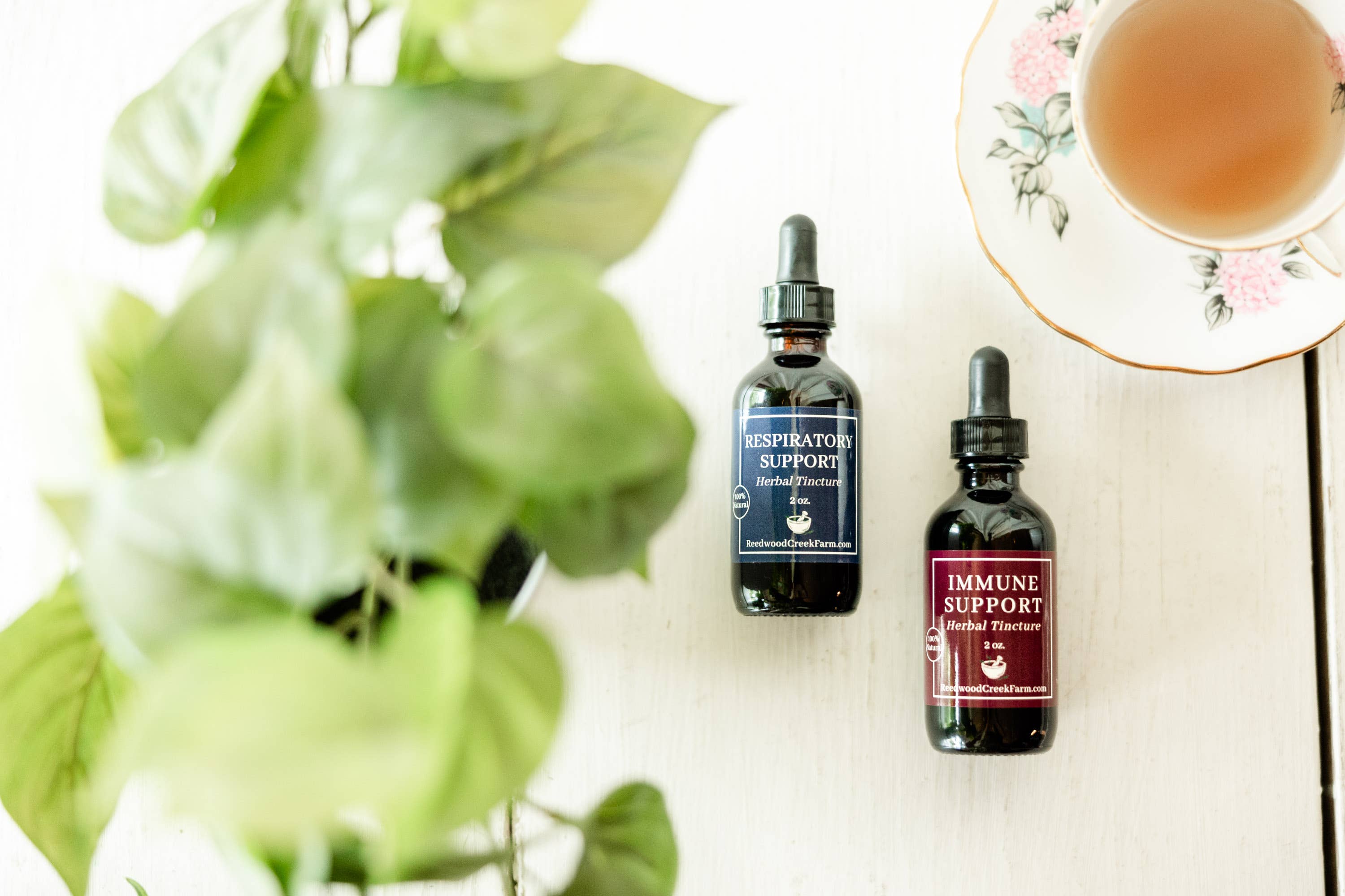 Reedwood Naturals - Wholesale Tincture - Respiratory Support Tincture2