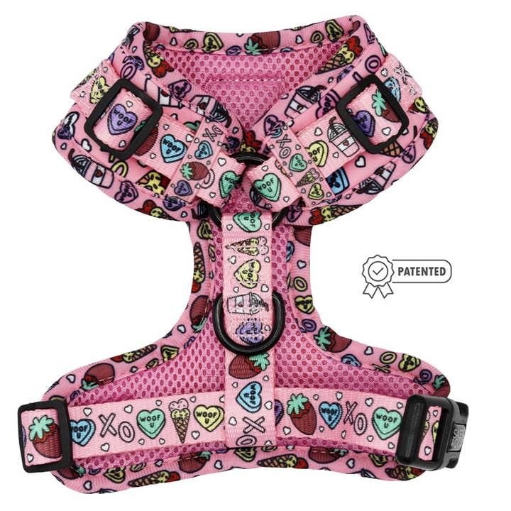 SASSY WOOF - Wholesale Pet Harness - Dog - Dog Adjustable Harness - I Chews You